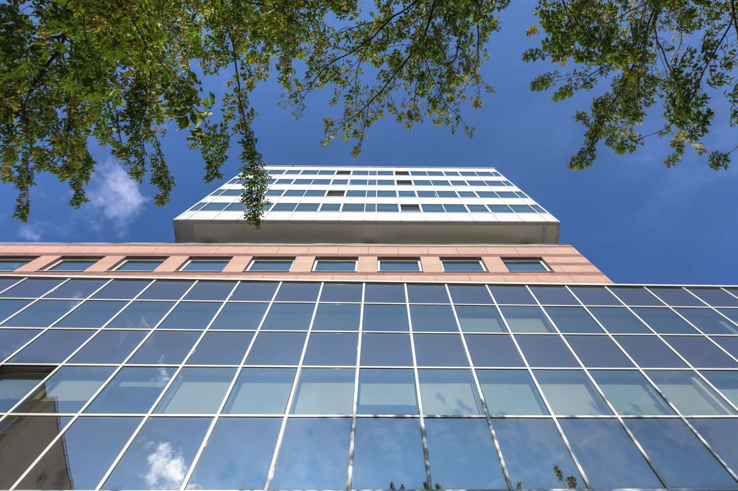 Zdjęcie architektury budynku Europlex